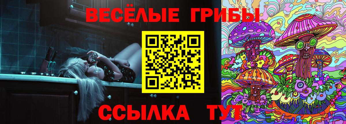 Галлюциногенные грибы Cubensis Норильск