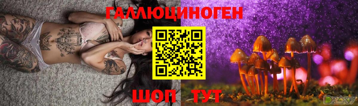 Норильск  наркошоп  Вход с VPN  Галлюциногенные грибы GOLDEN TEACHER 